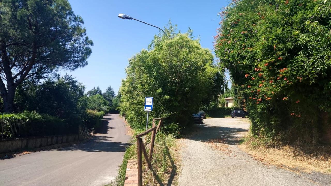 La Perla nel Parco, un'oasi di pace nella natura Sovicille Esterno foto